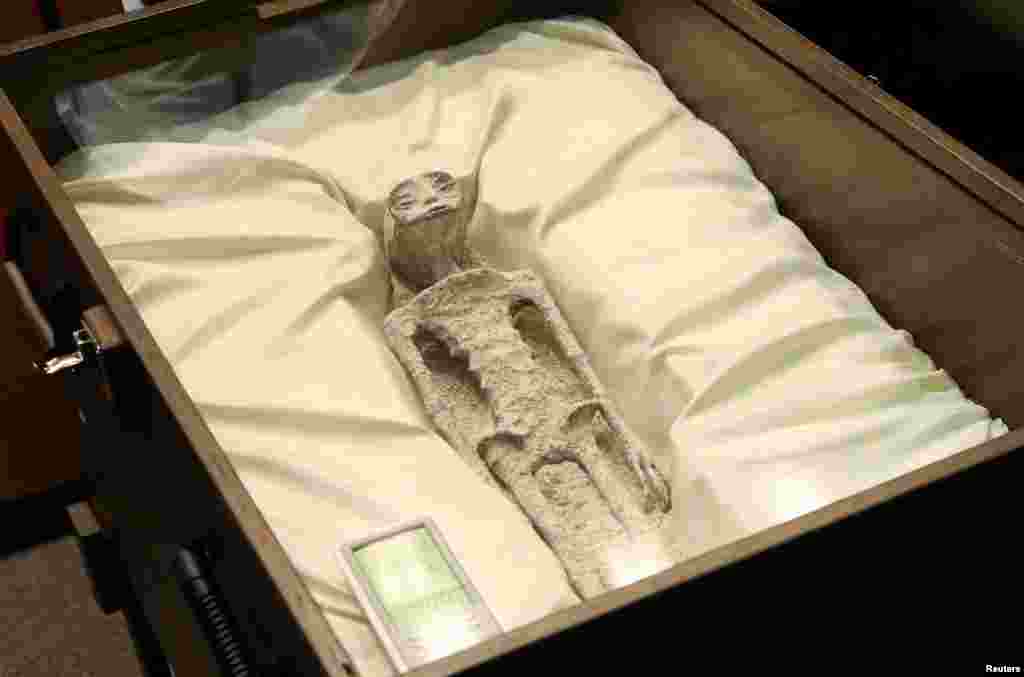 Remains of an allegedly &#39;non-human&#39; being is seen on display during a briefing on unidentified flying objects, known as UFOs, at the San Lazaro legislative palace, in Mexico City, Mexico.