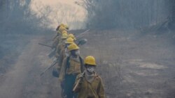 Bolivia enfrenta incendios forestales de gran magnitud y coordina acciones con Brasil