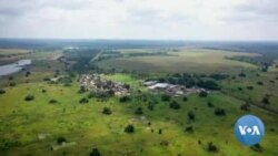  Former Zimbabwean Commercial Farmers Thriving in Zambia