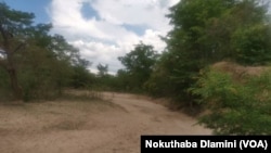 Nkayi Drought