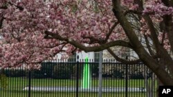 The fountain on the North Lawn of the White House is dyed green for St. Patrick's Day, March 17, 2023, in Washington.