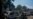 UN: Haiti Gangs Kill 1,500 in Three Months