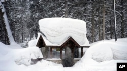 Seorang calon penumpang duduk di halte bus yang tertutup salju di Olympic Valley, California, 24 Februari 2023. California dan sebagian wilayah Barat diguyur hujan dan salju lebat dari badai musim dingin. (Foto: John Locher/AP Photo)
