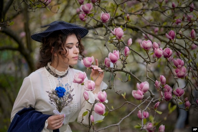 FILE - A woman poses for a friend next to blossoming trees in the A.V. Fomin Botanical Garden, in Kyiv, Ukraine, Wednesday, April 10, 2024. (AP Photo/Vadim Ghirda)