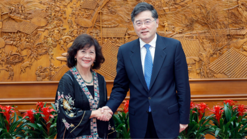 Menteri Luar Negeri China berbicara dengan Perwakilan Khusus PBB untuk Myanmar
