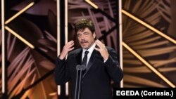 El actor Benicio del Toro recordó sus inicios y la lucha para romper con los estereotipos en Hollywood tras recibir el Premio Platino de Honor este sábado 22 de abril de 2023 en Madrid, España.