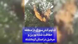 تداوم آتش‌سوزی در منطقه حفاظت شده بوزین و مرخیل در استان کرمانشاه