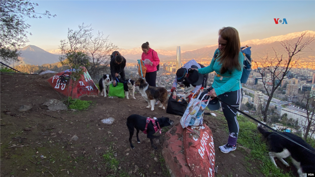 se permiten perros en el rancho rock ledge