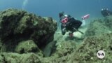 Women's Scuba Diving Community Challenges Surface Assumptions on Sex, Race, Age 