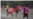 "Los Halcones": el grupo de fútbol que rompe los estereotipos del machismo en Nicaragua
