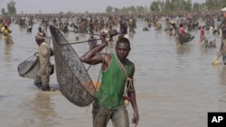 Thousands of fishermen fill a large muddy pond and cast their nets in the southern Mali town of San, June 6, 2024,.