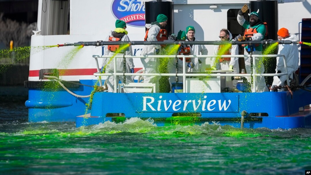 Members of the Chicago Journeymen Plumbers Local 130 dye the Chicago River green ahead of St. Patrick's Day celebrations, March 16, 2024, in Chicago.