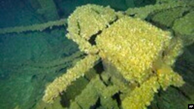 FILE - Quagga mussels carpet the bell of the wreck of the schooner Trinidad on the bottom of Lake Michigan in July 2023.