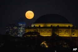 A blue supermoon rises between the Salesforce Tower and the Palace of Fine Arts in San Francisco, Wednesday, Aug. 30, 2023. (AP Photo/Eric Risberg)