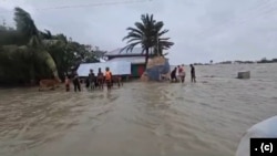 অস্বাভাবিক জোয়ারে ভোলার গ্রাম তলিয়ে গেছে। ফটোঃ ২৬ মে, ২০২৪। 