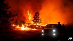 Flames burn as the Park Fire jumps Highway 36 near Paynes Creek in Tehama County, Calif., on Friday, July 26, 2024. 