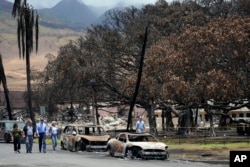 FILE - U.S. President Joe Biden and first lady Jill Biden walk with Hawaii Governor Josh Green and his wife Jaime Green (nearly dried-up banyan tree at right) as they visit areas devastated by a wildfire in Lahaina, Hawaii, August 21, 2023.