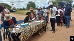 Zanu PF supporters voting in internal elections in Bulawayo ahead of national polls later this year.