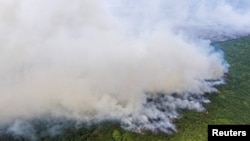 Asap membubung saat kebakaran hutan membakar hutan lahan gambut di Kabupaten Ogan Komering Ilir, Sumatra Selatan, 19 September 2023. (Foto: Antara/Nova Wahyudi/ via REUTERS)