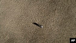 FILE - A man walks on the cracked ground of the Sau reservoir, which is only at 5% of its capacity, in Vilanova de Sau, about 100 km (62 miles) north of Barcelona, Spain, Jan. 26, 2024.