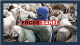 focus sahel