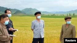 김덕훈 북한 내각총리가 황해북도 신계군의 협동농장을 방문했다며 12일 북한 관영매체들이 사진을 공개했다.