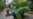 Nature | Botanic Garden