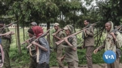 Shawaa Kaabaa Darraatti Lola Faannoo fi Humnoota Mootummaa Gidduutti Geggeessameen Siiviloota Dabalatee Namoonni Ajjeesamuun Himame 