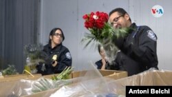 Oficiales de la Oficina de Aduanas de Estados Unidos inspeccionan las flores que llegan al Aeropuerto Internacional de Miami. [Foto: Antoni Belchi / VOA]