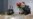 Millones de flores de América Latina se distribuirán en EEUU por el Día de San Valentín