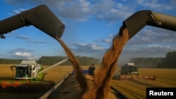在俄罗斯鄂木斯克地区一处农田，收割机正在将小麦装上卡车。（2023年9月8日）