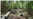 La Amazonía: ¿es posible hacer periodismo ambiental en el amenazado pulmón verde del planeta?