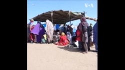 苏丹难民儿童营养不良问题严重