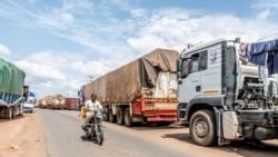 Benin - Niger : l'appel à l'aide des transporteurs bloqués à la frontière 