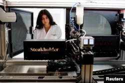 A 3D printer forms a piece of cultivated grouper fish at the offices of Steakholder Foods in Rehovot, Israel, April 23, 2023. (REUTERS/Amir Cohen)