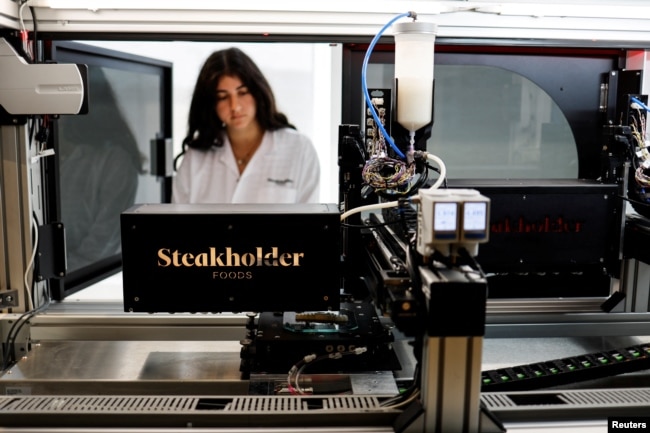 A 3D printer forms a piece of cultivated grouper fish at the offices of Steakholder Foods in Rehovot, Israel, April 23, 2023. (REUTERS/Amir Cohen)