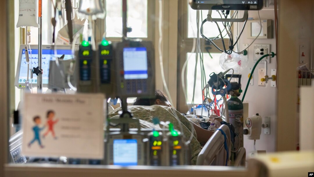 FILE - A pregnant and intubated COVID-19 patient lies in the Surgical Intensive Care Unit in a hospital in Boise, Idaho, on Aug. 31, 2021.
