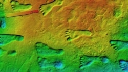 Science in a Minute: New Study Confirms Age of Ancient Footprints