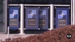 NATO Expands in 2023, but Timing of Ukraine's Membership at Issue