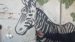 ئاژەڵەکانیش بەدەرنین لە مەینەتییەکانی شەڕ