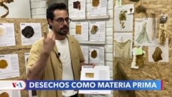 Nuevos materiales a partir de desechos orgánicos