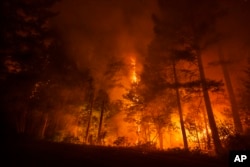 The Park Fire burns along Highway 32 near Butte Meadows, Calif., July 28, 2024.