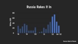 'Ukraine War Shrinking Russian Fuel Exports': Expert 