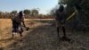 Villagers chopping lantana camara under the U.S-sponsored Amalima Loko program in Zimbabwe