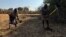 Villagers chopping lantana camara under the U.S-sponsored Amalima Loko program in Zimbabwe
