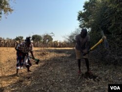 Bageca ubuhobe obubulala izifuyo lamabele. (VOA)