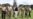 16x9 Image