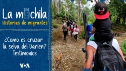 La incesante migración venezolana a través de la selva del Darién: Los migrantes cuentan su experiencia