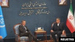رئیس سازمان انرژی اتمی ایران در کنار رئیس آژانس بین المللی انرژی اتمی