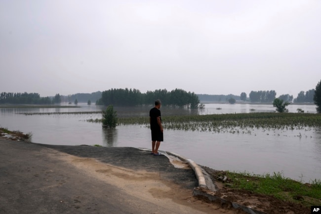 中国河北廊坊一位村民看着被洪水淹没的庄稼。（2023年8月2日）